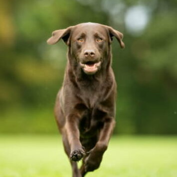 Sicheres Stoppen auf Distanz – Training in Erding & Ebersberg