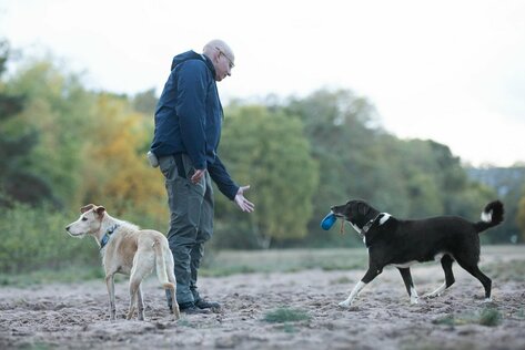 Hundeschule in der Nähe - Apportieren