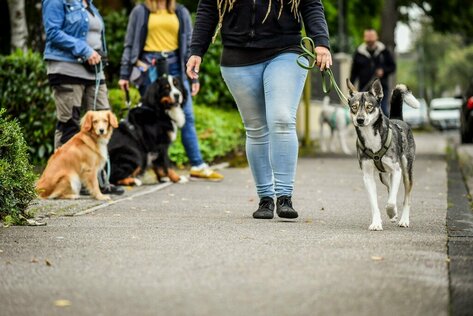 Begebnungstraining