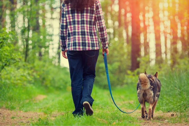Person läuft mit Hund mit lockerer Leine durch den Wald