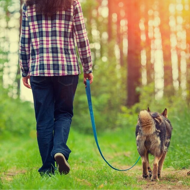 Person läuft mit Hund mit lockerer Leine durch den Wald