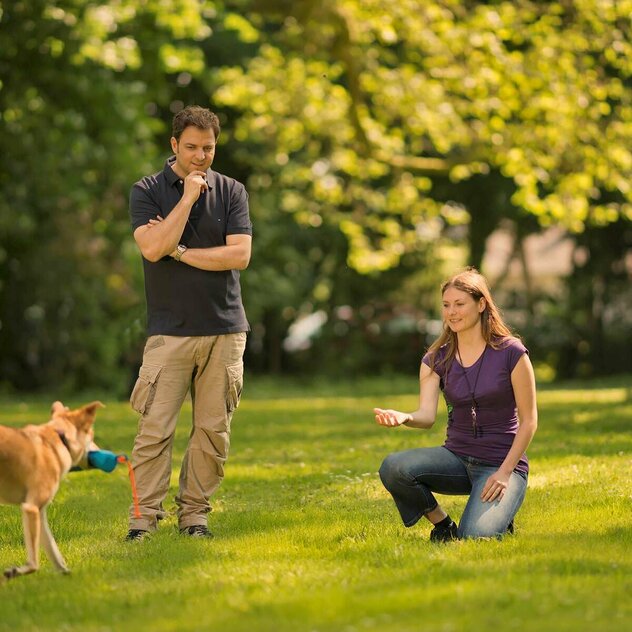 Ein Kunde übt mit dem Hund apportieren, während Martin Hilfestellung gibt.