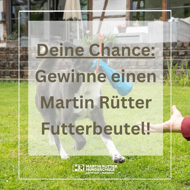 Gewinnspiel Futterbeutel März 2024