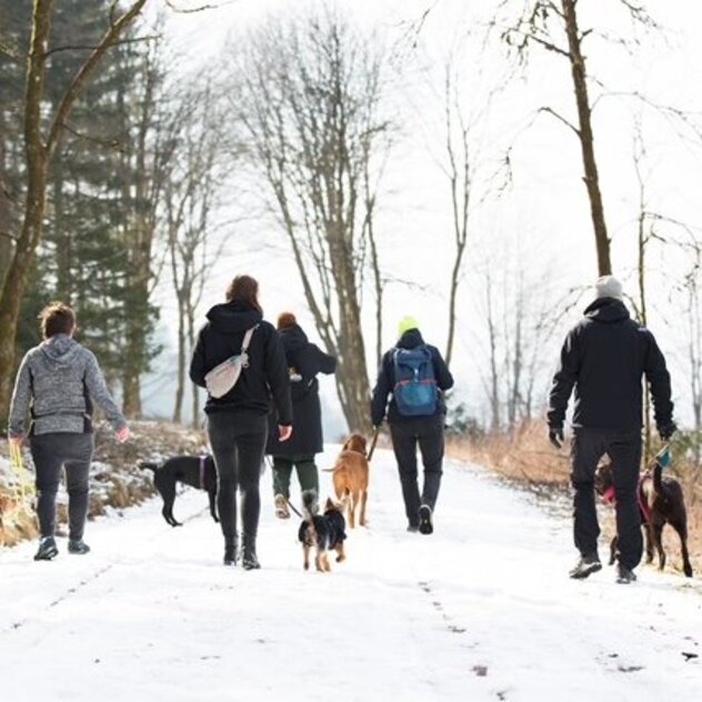 Wandergruppe mit Hund