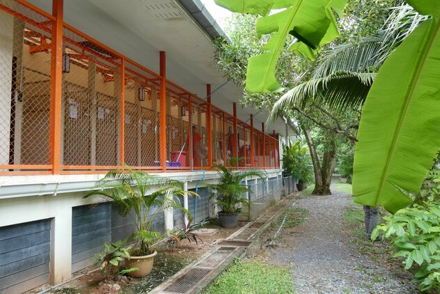 Klinikbereich Soi Dog