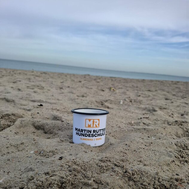 Strand Urlaub mit Hund Freuzeit