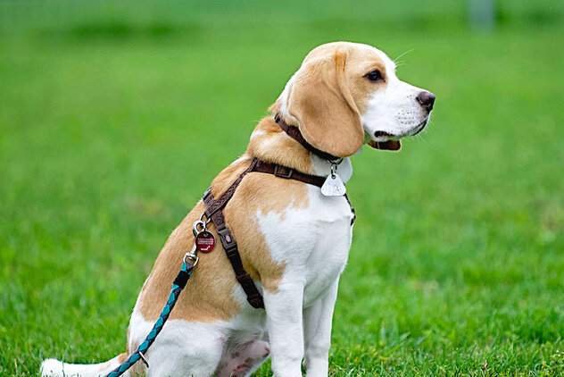 Wir unterstützen dich beim Training