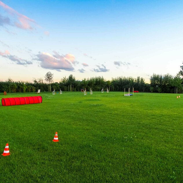 Wiese mit Trainingsgeräten