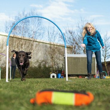 Hilfsperson wirft Hund Futterbeutel als Belohnung