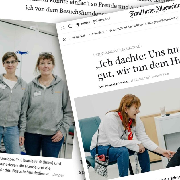 Artikel der Frankfurter Allgemeinen Zeitung (FAZ)