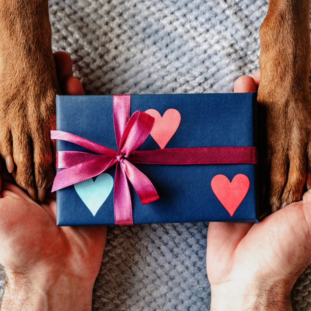 Hundepfoten übergeben Gutschein – Martin Rütter Hundeschule Leipzig