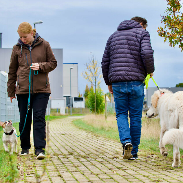 Zwei Menschen mit ihren Hunden begegnen sich auf einem Weg.