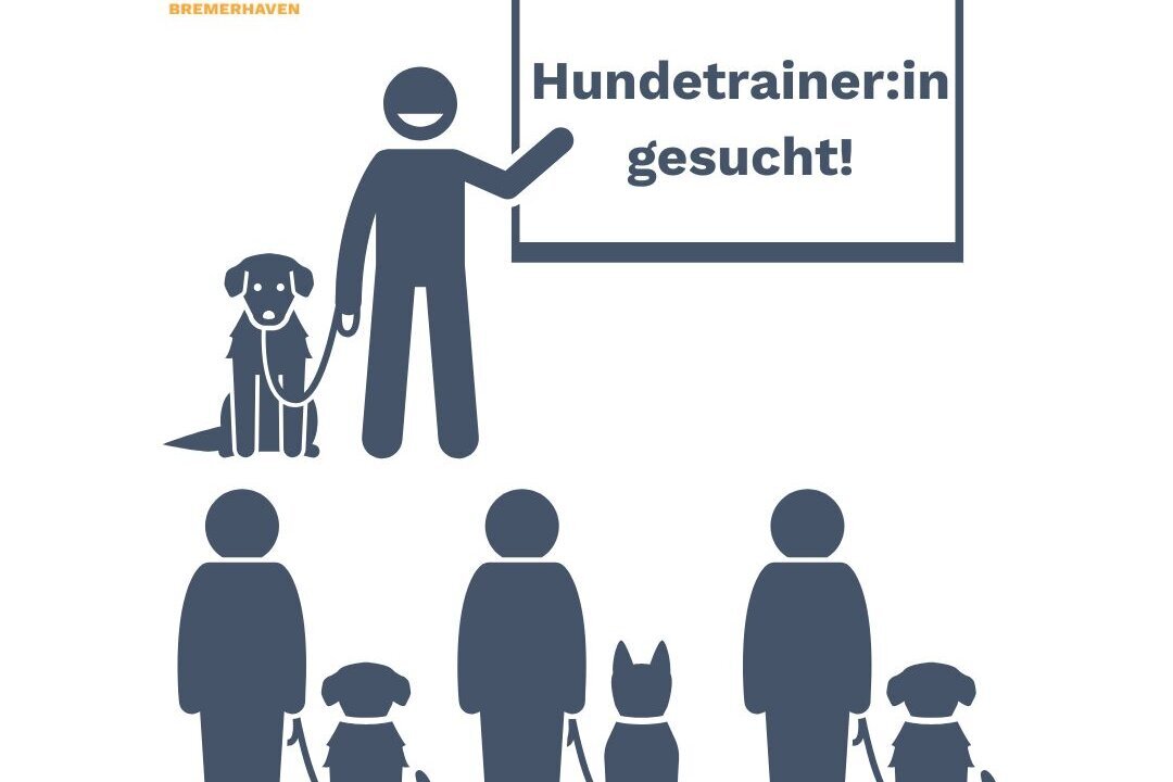 Hundetrainer:in gesucht für die Martin Rütter Hundeschule Cuxhaven Bremerhaven