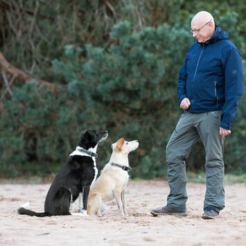 Martin Rütter Hunde Schule in der Nähe - Training