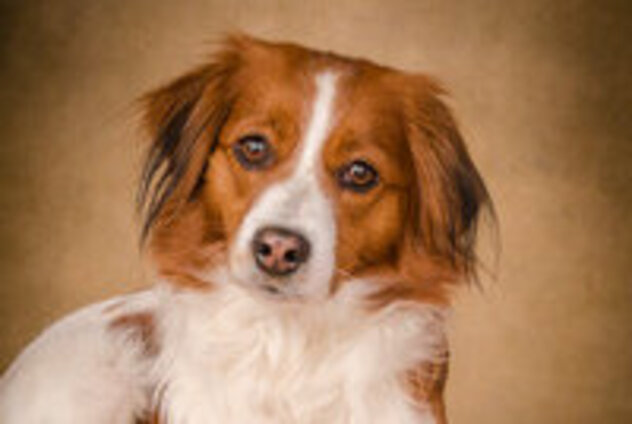 Portrait von Ayliena