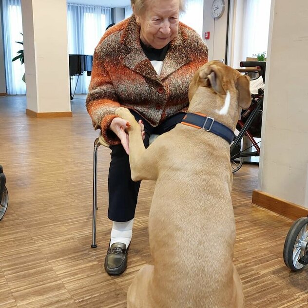 Bewohnerin freut sich über Besuchshund Pablo
