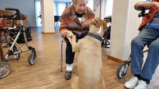 Bewohnerin freut sich über Besuchshund Pablo
