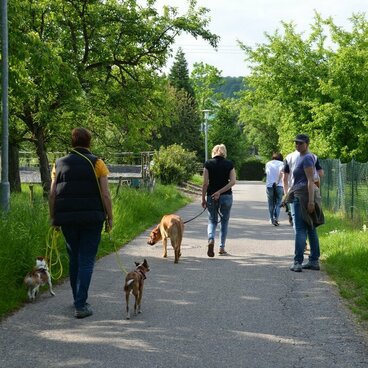 Halter gehen im Abstand zueinander gemeinsam mit Hund an der Leine spazieren.