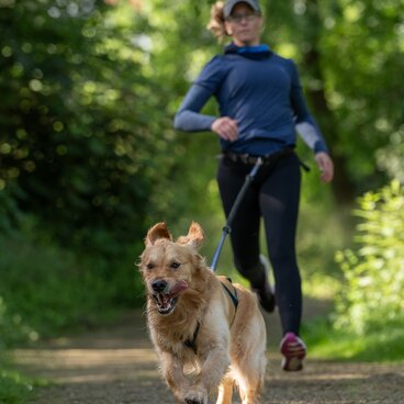 Chrissi und Golden Retriever Sulley beim gemeinsamen Canicross-Training im Wald zwischen Esslingen und Nürtingen, systemisch zur Teamstärke.