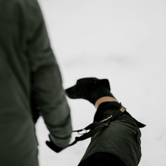 Hund läuft vor Mensch an Leine