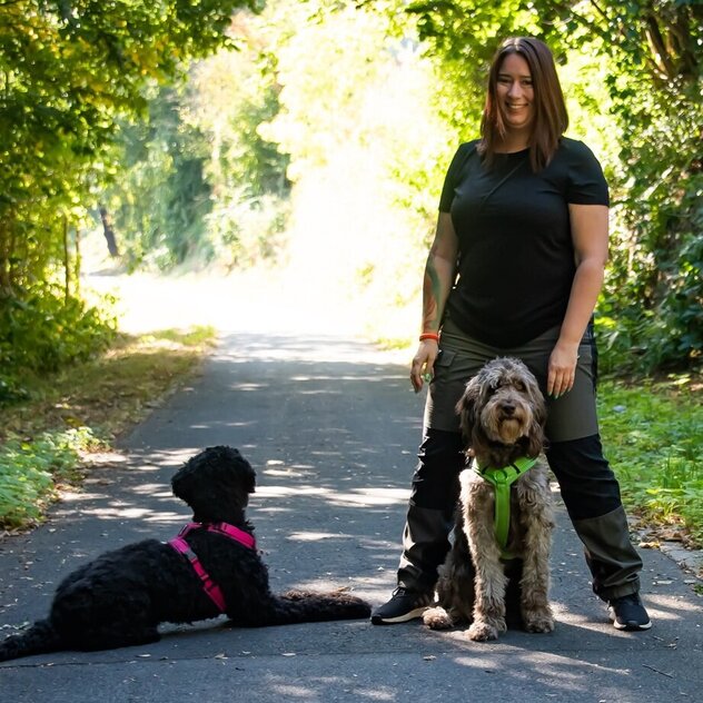 Hundetraining nach Martin Rütter in der Region Riesa und Meißen