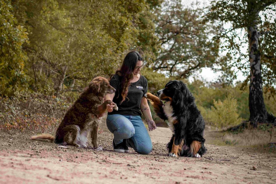 Jessica Riedle Hundeschule Landau Pfalz - Martin Rütter | Landau in der Pfalz