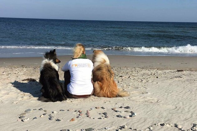 Christine Waubke Hundeschule Rostock mit zwei Collies