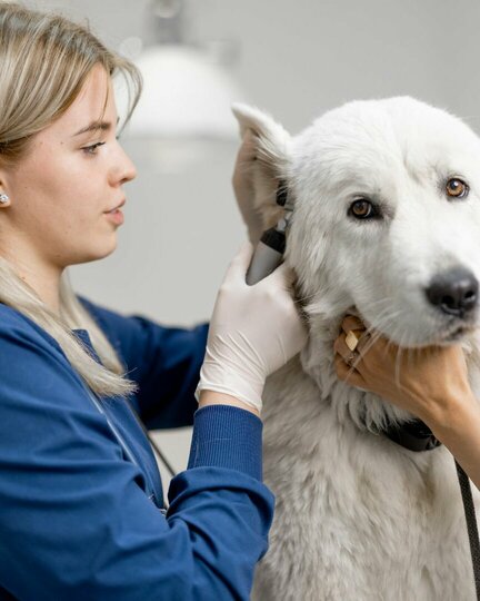 Medical Training