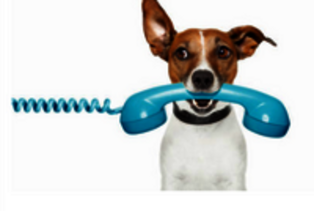 Zeichnung: Hund mit Telefonhörer im Maul