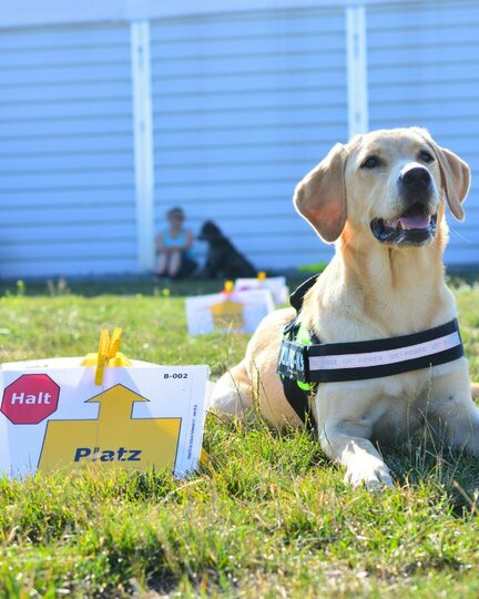 Rally Obedience