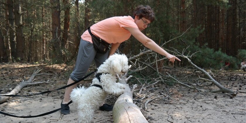 Frauchen mit Hund Suchspiel über Baumstamm