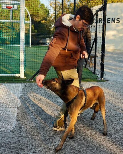 Hundetrainer mit Malinois