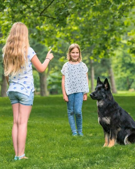 Kind und Hund