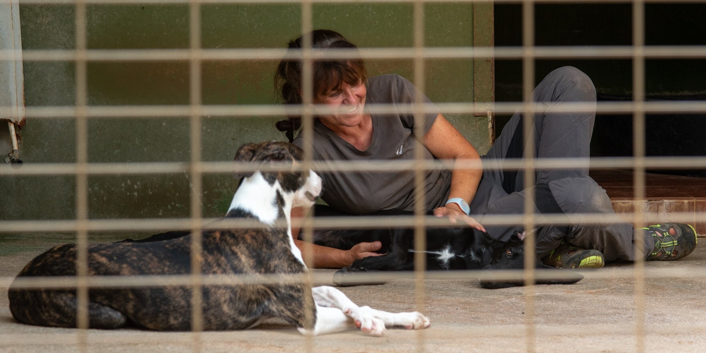Doreen Hörchner mit zwei Galgo Espanol im Tierheim