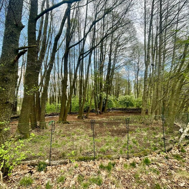 Idyllisches Trainingsgelände für Hunde bei Dresden