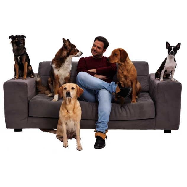 Angebot Hundeschule Schwerin 