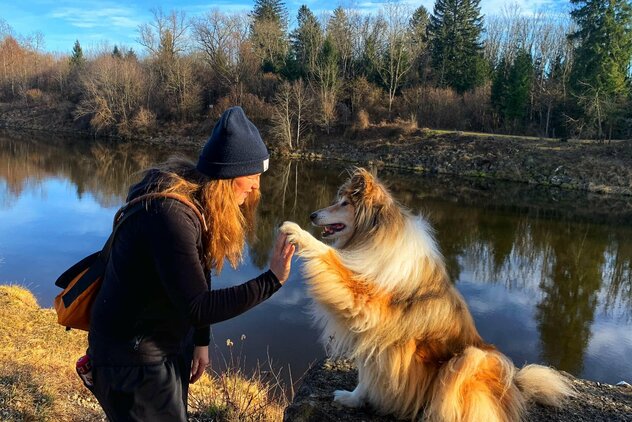Christine Waubke Martin Rütter Hundeschule mit Collie