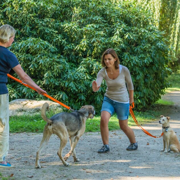 Unerwünschte Hundebegegnungen abwehren