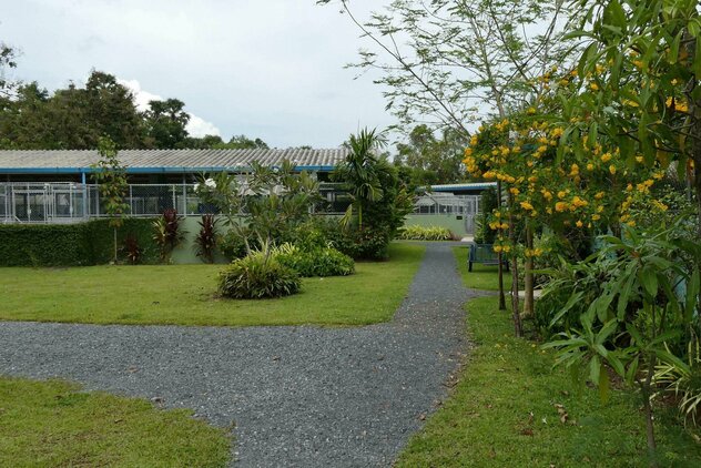 Anlage Soi Dog Tierheim