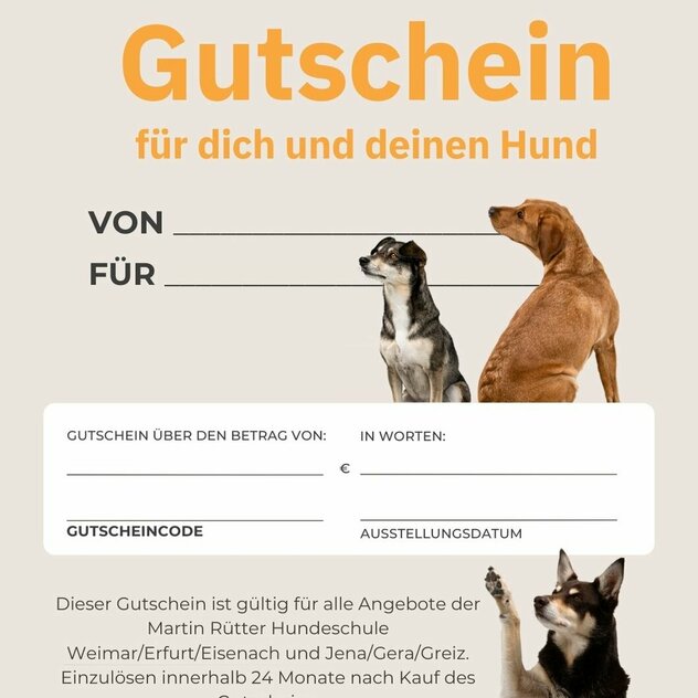 Gutschein für Hundetraining