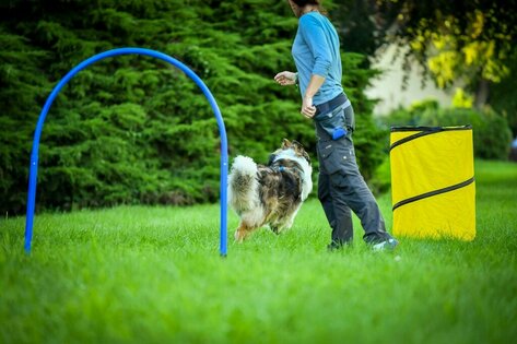 Gruppentraining Beschäftigung