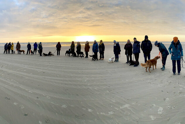 Urlaub mit Hund: Eine Gruppe Menschen mit Hunden am Strand.