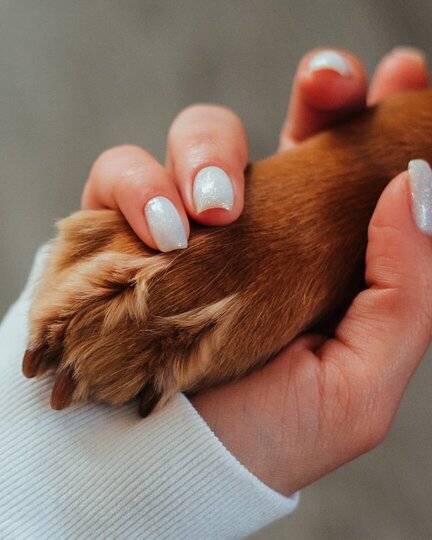 Hund und Halter beim Training im Basis Kurs Leipzig – Aufbau von Grundsignalen und Impulskontrolle