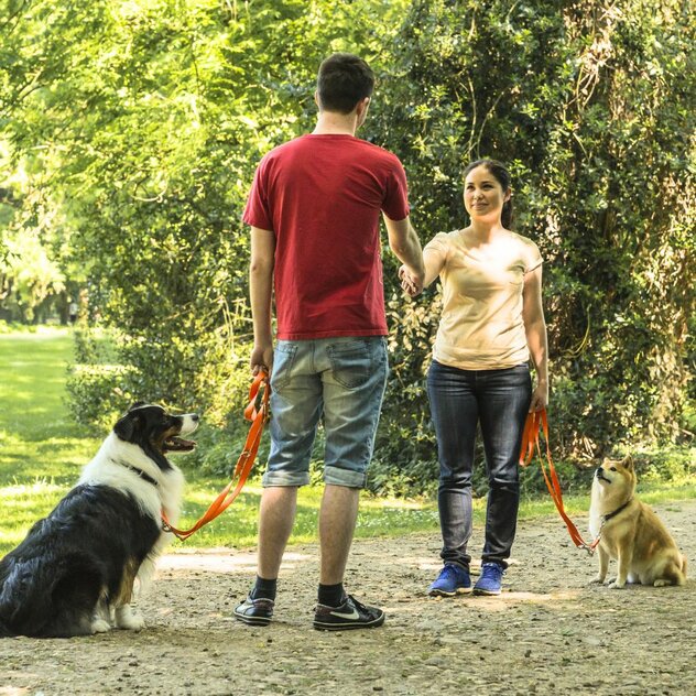 Social Walk - Spaziergang mit Begegnungstraining