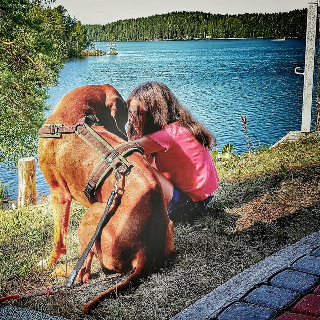 Hund und Mensch 