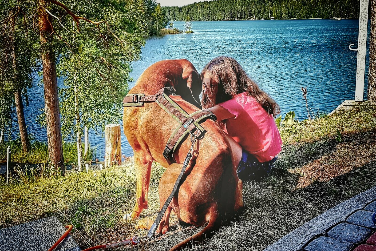 Hund und Mensch