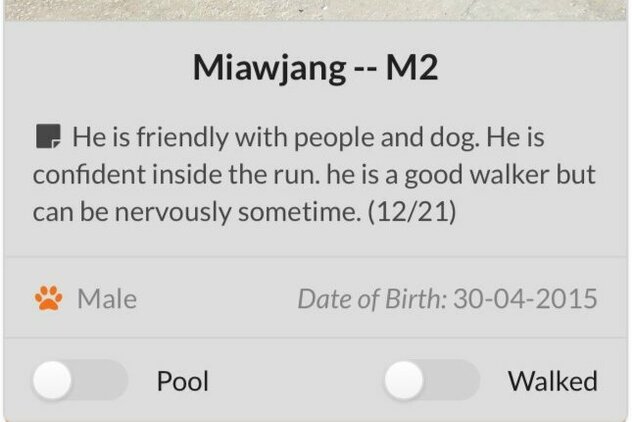 Volontäre-App Soi Dog