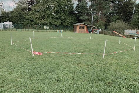 Distanztraining in Erding & Ebersberg – Hund am Longierkreis