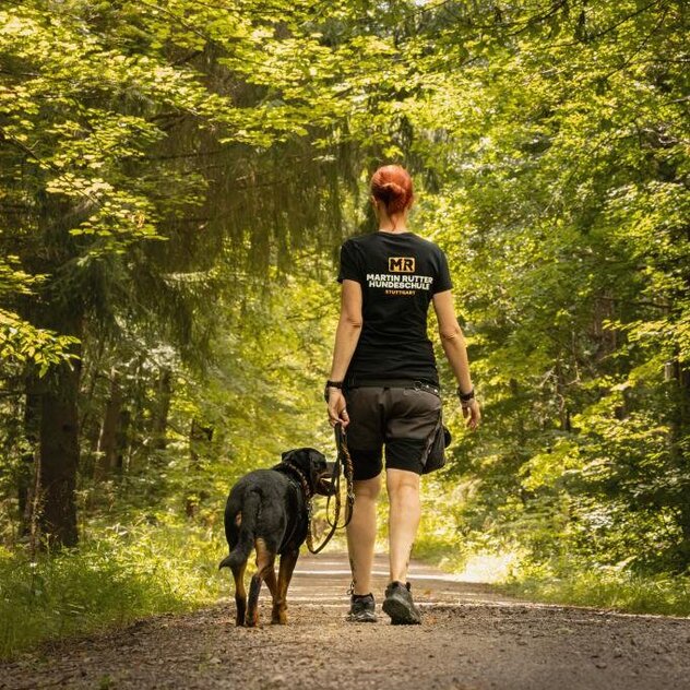 Hund_laeuft_an_lockerer_Leine