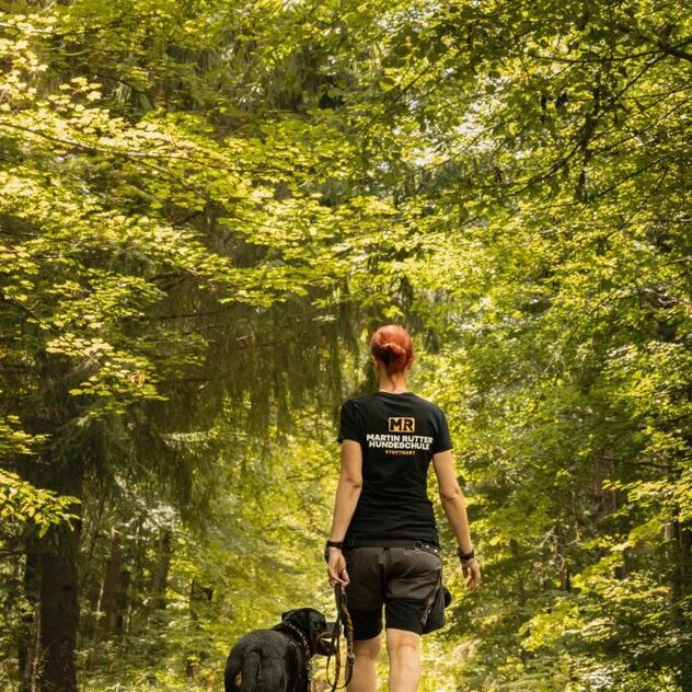 Hund_laeuft_an_lockerer_Leine